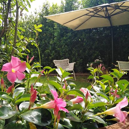 Bio B&B Vivere La Vita Polpenazze del Garda Buitenkant foto