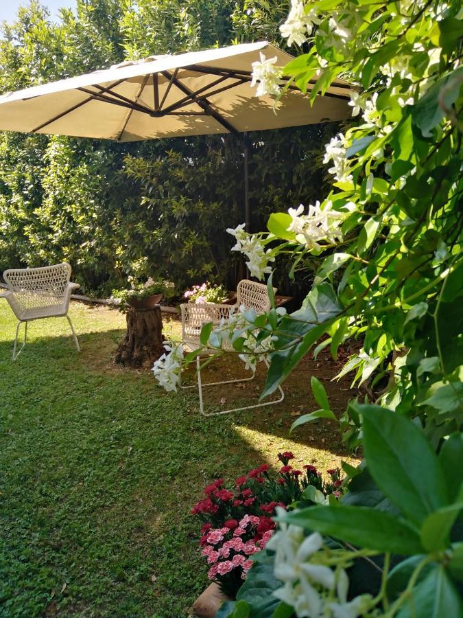 Bio B&B Vivere La Vita Polpenazze del Garda Buitenkant foto