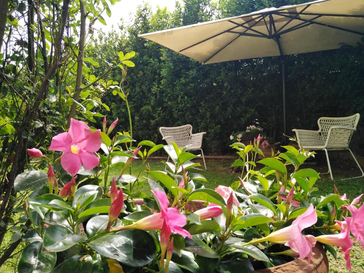 Bio B&B Vivere La Vita Polpenazze del Garda Buitenkant foto