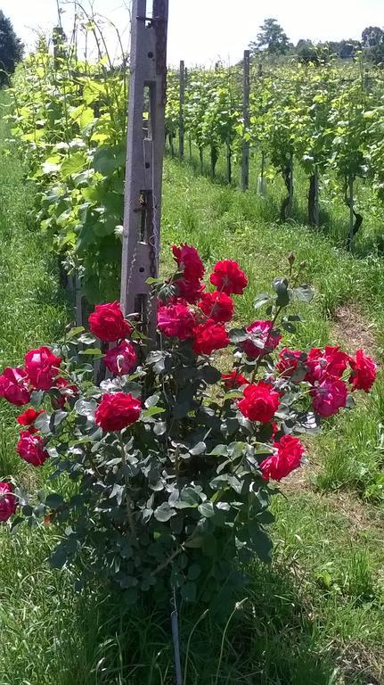 Bio B&B Vivere La Vita Polpenazze del Garda Buitenkant foto