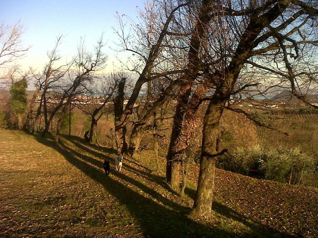 Bio B&B Vivere La Vita Polpenazze del Garda Buitenkant foto