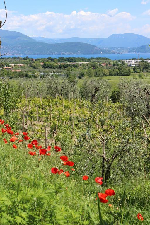 Bio B&B Vivere La Vita Polpenazze del Garda Buitenkant foto